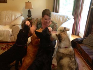 Louisville Mobile Housecall Vet
