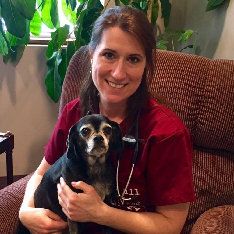 Contact Our Louisville Mobile Vet Practice Mobile Veterinary Practice